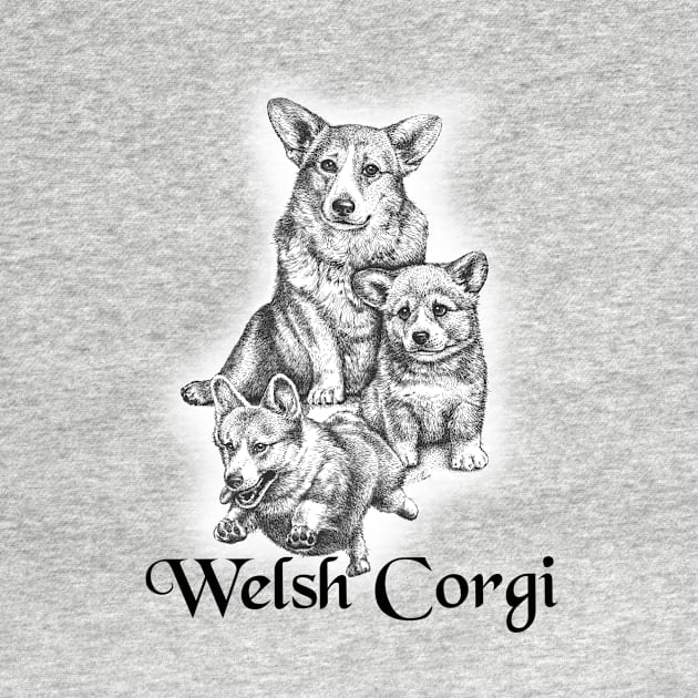 Lovable Welsh Corgi's by Kimikim